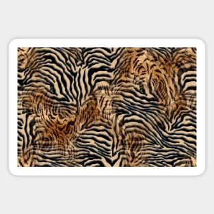 Leopard texture Magnet